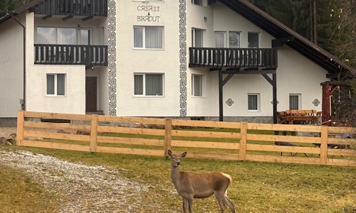Familia la Casa Brăduț