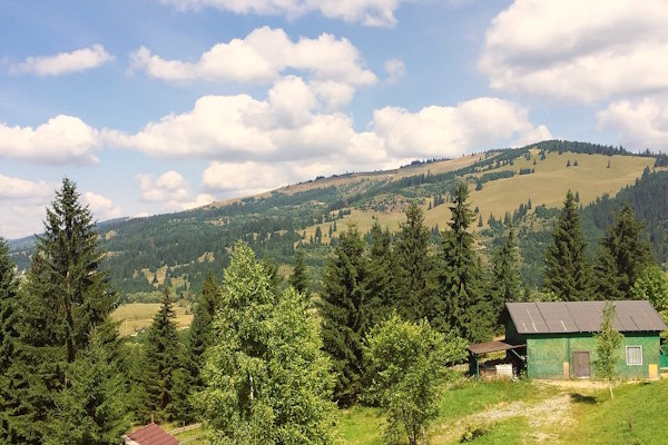 peisaj