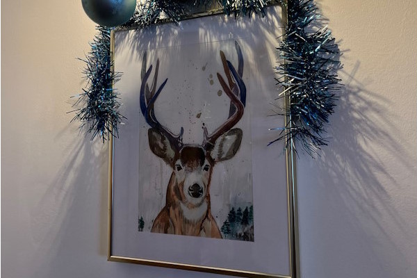 decoratiune